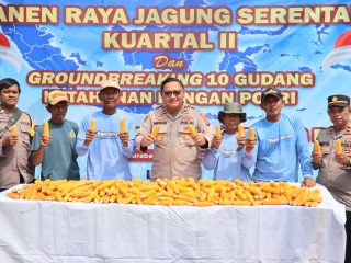Polsek Kenjeran,Dukung Ketahanan Pangan, Panen Jagung Di Jalan Tambak Wedi Baru.