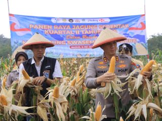 Dukung Swasembada Pangan, Polres Madiun Gelar Panen Raya Jagung Serentak Kuartal II 2026