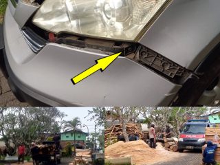 Diduga Atas Perintah Kades Bedali, Pohon Produktif di TPU Lawang Ditebang, Bahu Jalan Dipenuhi Kayu Palet Hingga Rugikan Warga