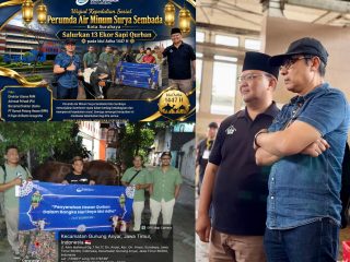 Wujud Kepedulian Sosial, Perumda Air Minum Surya Sembada Kota Surabaya Salurkan 13 Ekor Sapi Qurban pada Idul Adha 1447 H