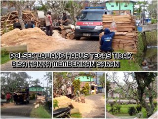 Diduga Atas Perintah Kades Bedali, Pohon Produktif di TPU Lawang Ditebang, Bahu Jalan Dipenuhi Kayu Palet Hingga Rugikan Warga