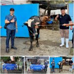 Wujud Kepedulian Sosial, Perumda Air Minum Surya Sembada Kota Surabaya Salurkan 13 Ekor Sapi Qurban pada Idul Adha 1447 H
