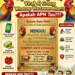 Selebaran Informasi, "Judi Berkedok Kontes" Ayam Bangkok, Viral di Group Whatsap Wartawan Blitar!!!, Apakah APH Tau???